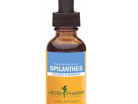 Spilanthes 4 oz By Herb Pharm Hot on Sale