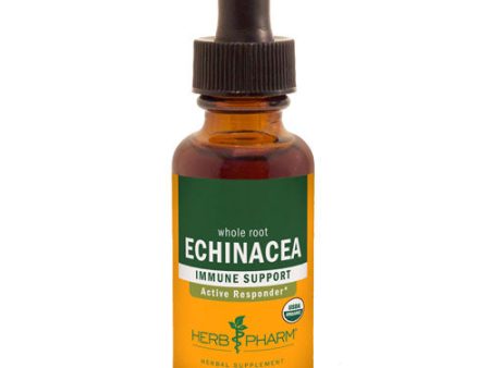 Echinacea Extract 4 Oz By Herb Pharm Sale