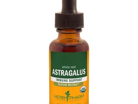 Astragalus 4 fl oz (118.4 ml) By Herb Pharm Online now