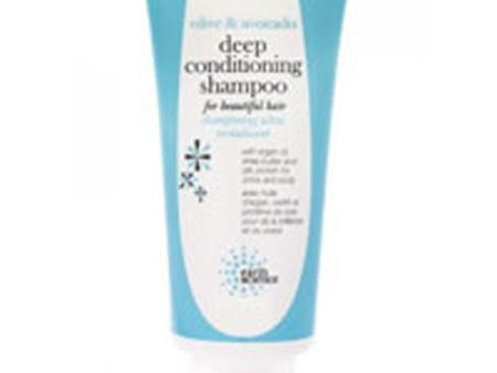 Olive and Avocado Deep Conditioning Shampoo 6 OZ By Earth Science Online Sale