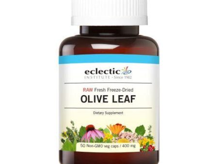 Olive Leaf 90 Caps By Eclectic Institute Inc Online