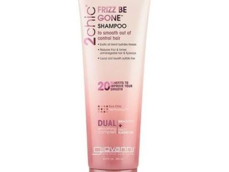 2chic Frizz Be Gone Shampoo 24 Oz By Giovanni Cosmetics on Sale